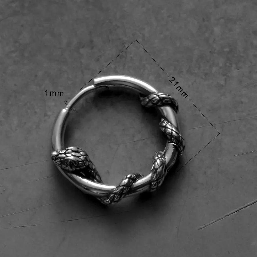 REBIRTH CYCLE EARRINGS