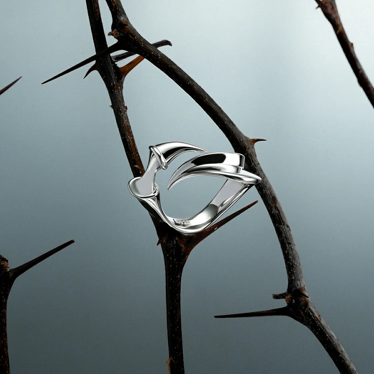 OPEN VERTEBRA RINGS