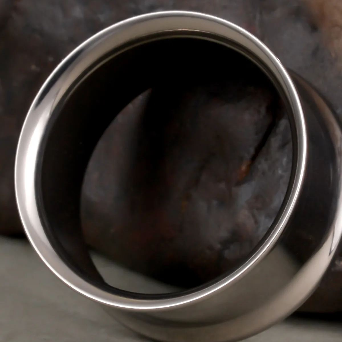 MINIMALIST LOOP TITANIUM TUNNELS